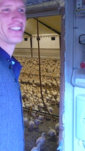 our fabulous host, peter, with 20,000 little chickens