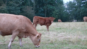 P1020045.JPG