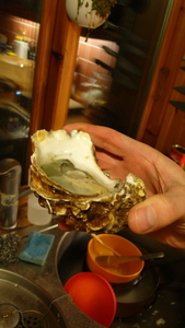 Thanksgiving 2007, Oysters