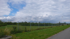 Copenhagen, Hagen hagen, N, N, N, N, N.