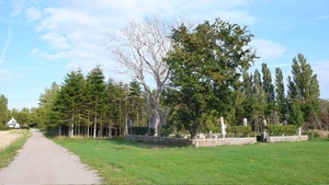 The cemetery.