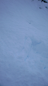 Avalanche hole where Catpatz was buried