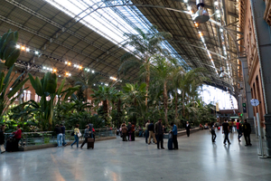 Inside Atocha, plants.